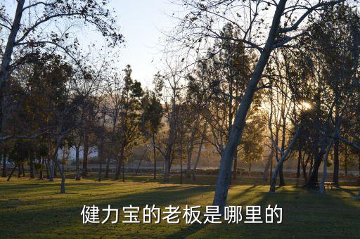  健力宝的老板是哪里的