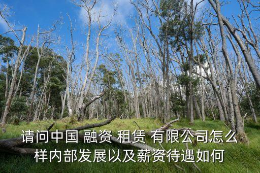 中 融资租赁有限公司,天下达融资租赁(厦门)有限公司