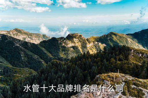 水管十大品牌排名是什么啊