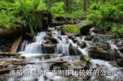 谁知道视频广告制作比较好的公司