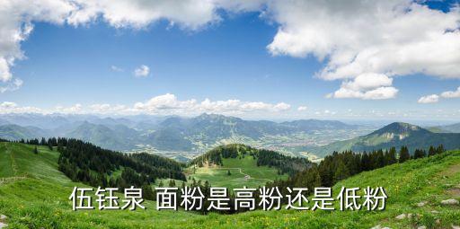 伍钰泉 面粉是高粉还是低粉