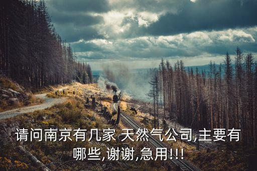 请问南京有几家 天然气公司,主要有哪些,谢谢,急用!!!