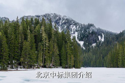  北京中标集团介绍
