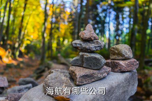 湛江船舶租赁有限公司,珠海市振海船舶租赁有限公司