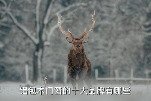 铝包木门窗的十大品牌有哪些
