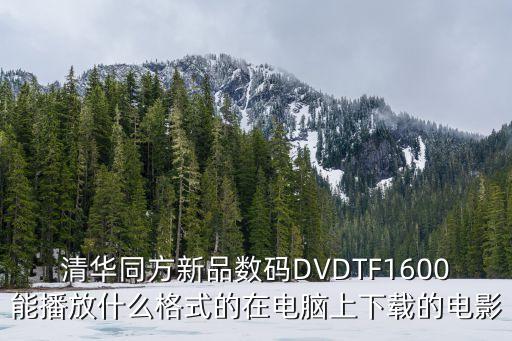 清华同方新品数码DVDTF1600能播放什么格式的在电脑上下载的电影