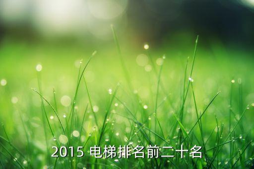 2015 电梯排名前二十名
