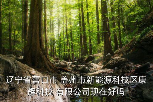 辽宁省营口市 盖州市新能源科技区康辉科技 有限公司现在好吗