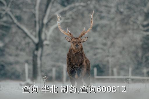 查询 华北 制药,查询600812