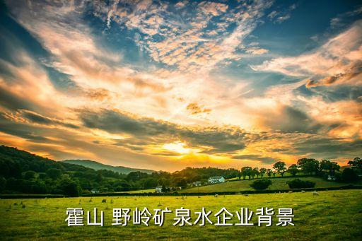 霍山 野岭矿泉水企业背景