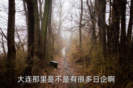 大连那里是不是有很多日企啊