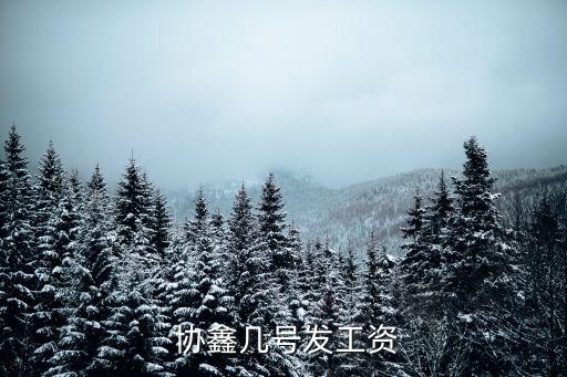 协鑫几号发工资