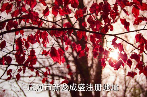 新疆盛合投资有限公司,新疆新湖新盛投资有限公司