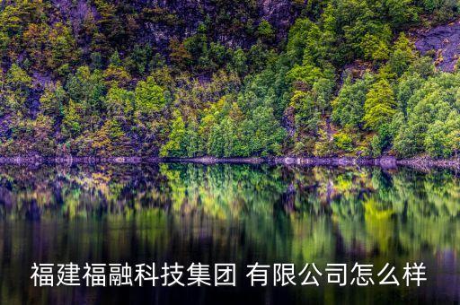 福建福融科技集团 有限公司怎么样