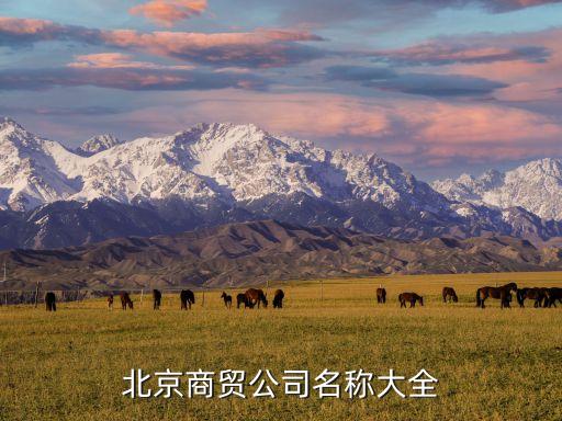 北京商贸公司名称大全