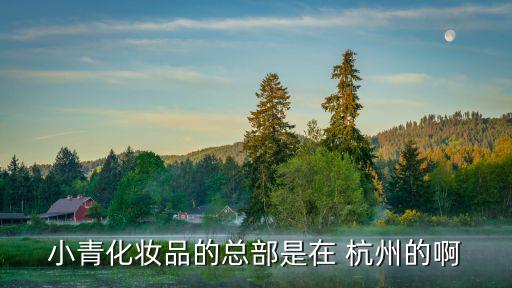 小青化妆品的总部是在 杭州的啊