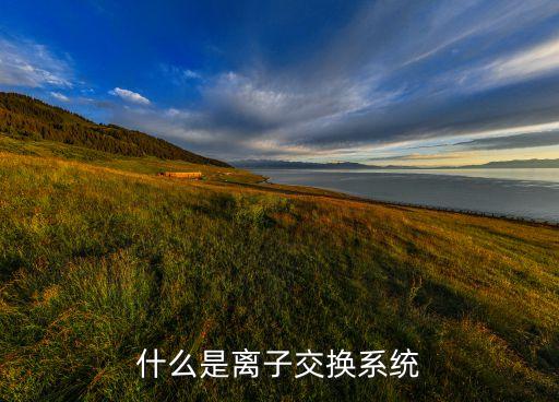 什么是离子交换系统