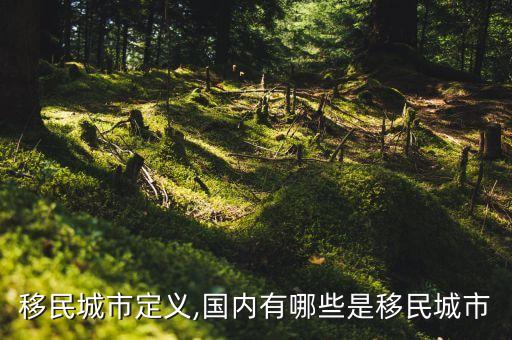 移民城市定义,国内有哪些是移民城市