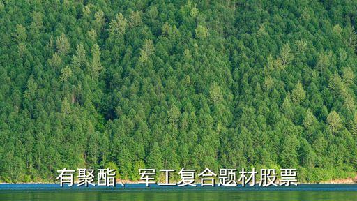 有聚酯、军工复合题材股票