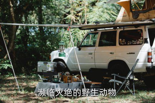上海太阳生物科技有限公司,甘肃太阳生物科技有限公司