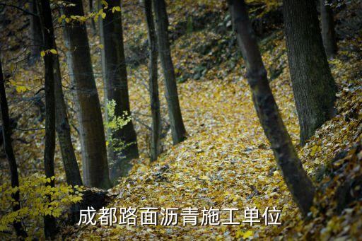 成都路面沥青施工单位