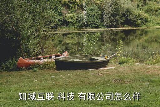 知域互联 科技 有限公司怎么样