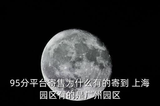 95分平台寄售为什么有的寄到 上海园区有的是广州园区