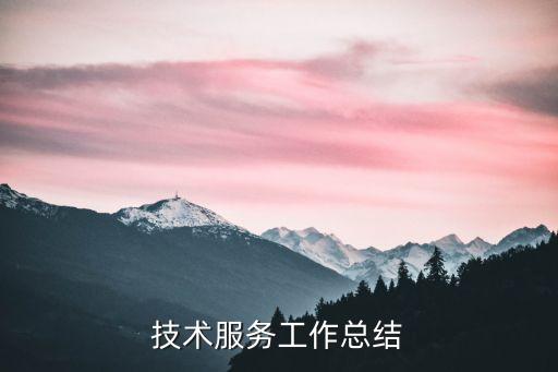 技术服务工作总结