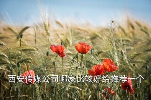  西安传媒公司哪家比较好给推荐一个.