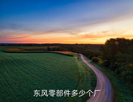  东风零部件多少个厂