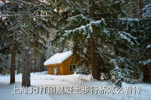  上海3d打印混凝土步行桥怎么看待