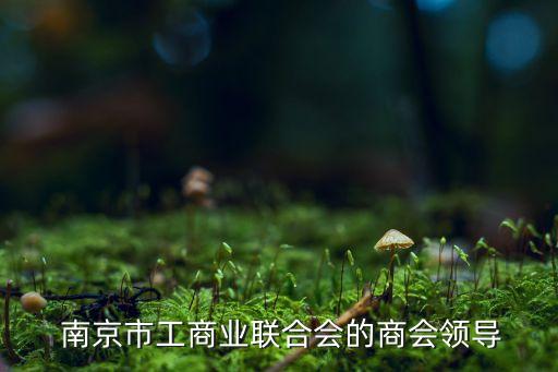  南京市工商业联合会的商会领导