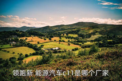 领跑新 能源汽车c11是哪个厂家