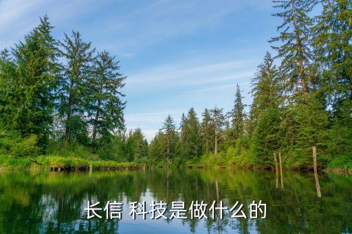 长信 科技是做什么的