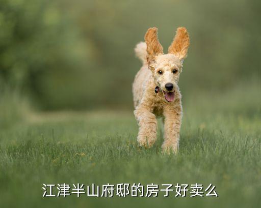 津辉集团有限公司,凯辉集团(福建)有限公司