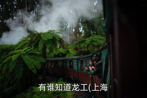 红旗缸盖制造有限公司人事部电话,重庆红旗缸盖制造有限公司招聘