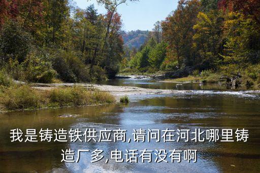 我是铸造铁供应商,请问在河北哪里铸造厂多,电话有没有啊