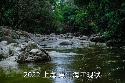2022 上海 惠生海工现状