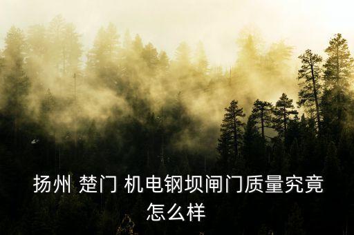  扬州 楚门 机电钢坝闸门质量究竟怎么样