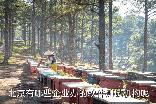  北京有哪些企业办的软件测试机构呢