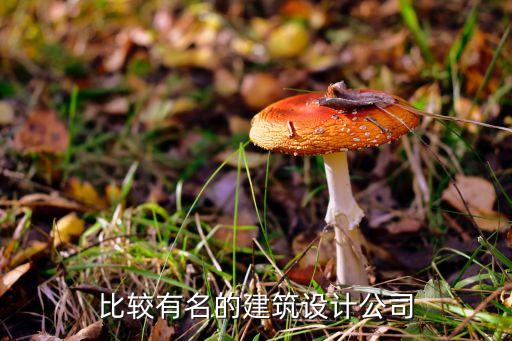 比较有名的建筑设计公司