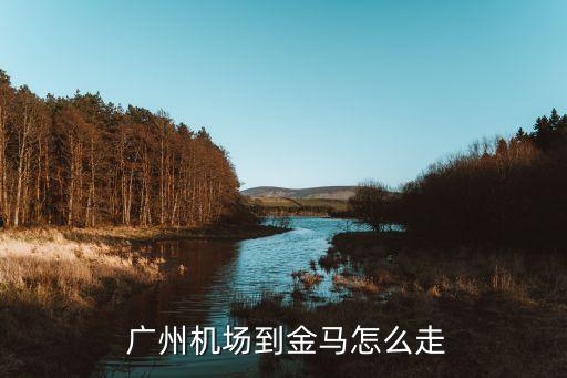  广州机场到金马怎么走