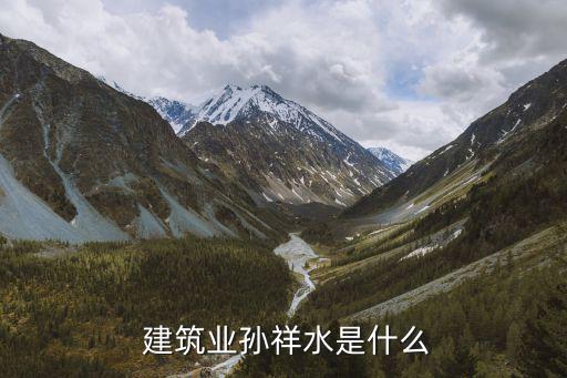  建筑业孙祥水是什么