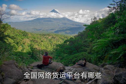 全国网络货运平台有哪些