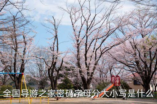 唱游信息技术有限公司 法人