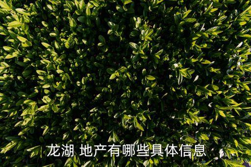  龙湖 地产有哪些具体信息