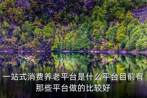 一站式消费养老平台是什么平台目前有那些平台做的比较好