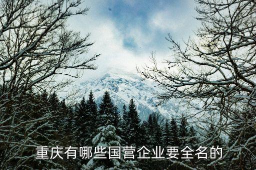  重庆有哪些国营企业要全名的