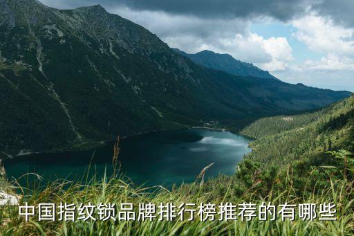 中国指纹锁品牌排行榜推荐的有哪些