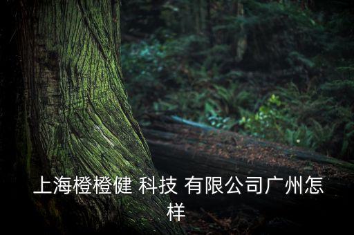 数尊信息科技上海有限公司